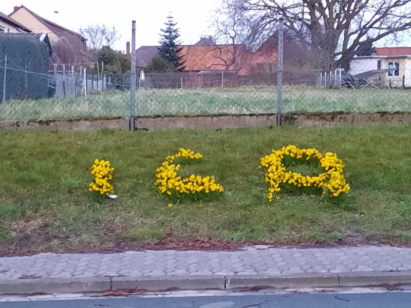 Impression aus Adenstedt