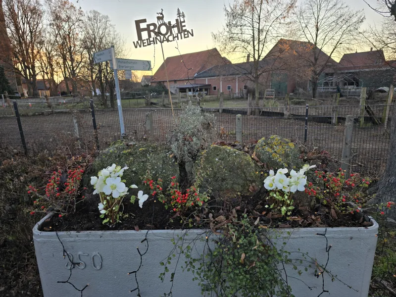 Weihnachtlich bepflanzte Lore mit dem Schild „Frohe Weihnachten" an der Großen Straße in Adenstedt