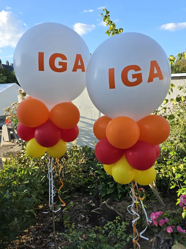 Zwei große Luftballons mit IGA-Aufdruck und Ballondekoration beim Sommerfest 2025